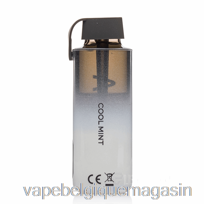 Vape Belgique Vozol Neon 10000 Jetable Menthe Fraîche